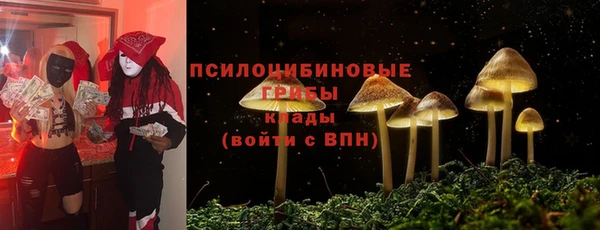 ГАЛЛЮЦИНОГЕННЫЕ ГРИБЫ Алзамай