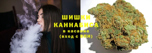 ГАЛЛЮЦИНОГЕННЫЕ ГРИБЫ Алзамай
