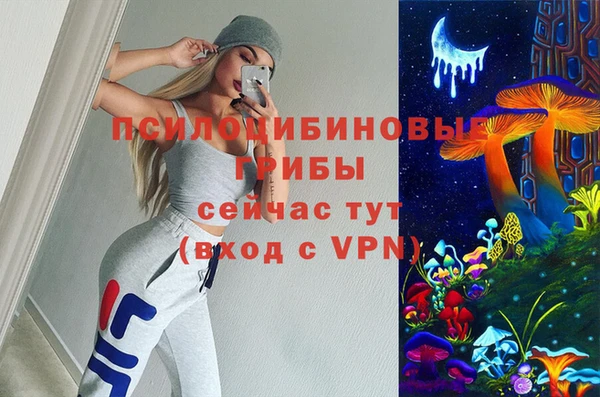 ГАЛЛЮЦИНОГЕННЫЕ ГРИБЫ Алзамай