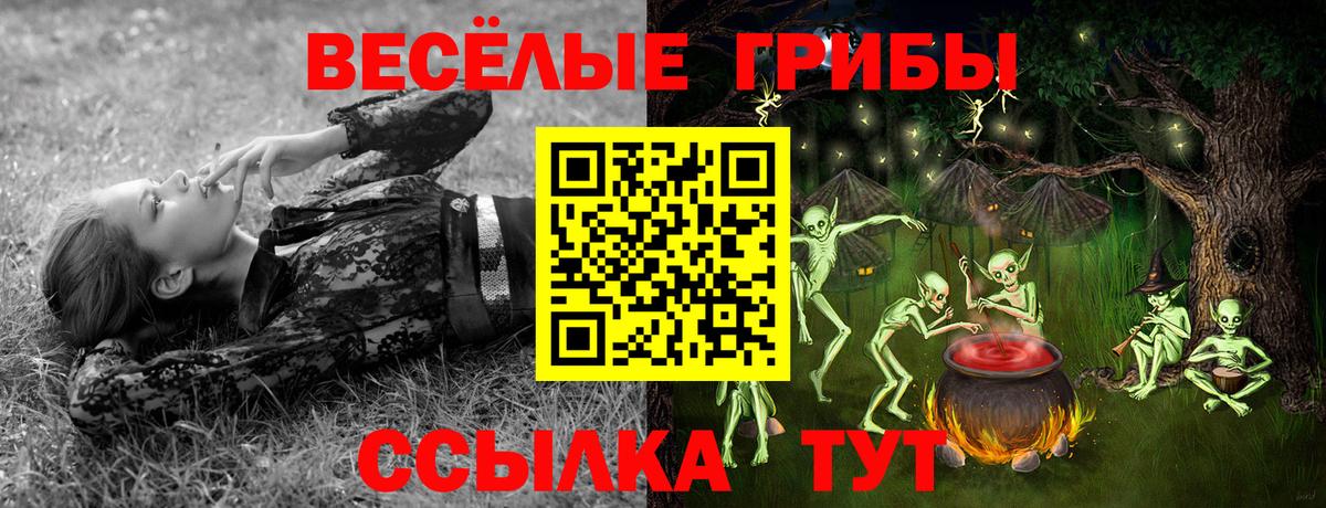Белореченск  Псилоцибиновые грибы MAGIC MUSHROOMS  Вход с VPN 
